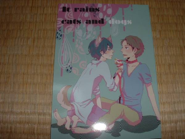 V109 嵐同人誌 半仙戯 智ニノ It Rains Cats And Dogs ボーイズラブ 売買されたオークション情報 Yahooの商品情報をアーカイブ公開 オークファン Aucfan Com