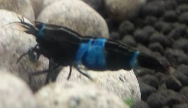 【ZeroOne】秘密の骨！(2)_3