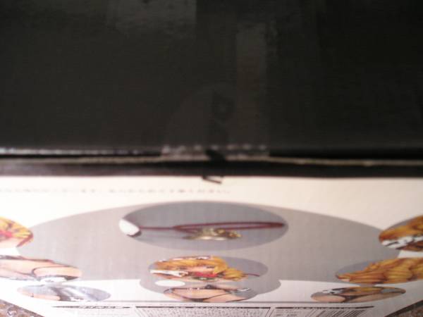 相沢さなえ 触乳2☆黒ver／ダイキ工業☆新品未開封(コミック、アニメ  