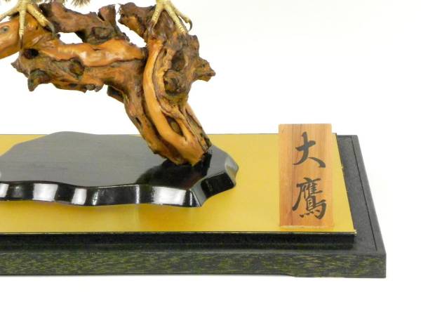 大鷹オオタカ 剥製 ガラスケース付 羽広げ型 猛禽類アンティーク(科学