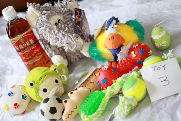 新品　★　ＤＯＧ　ＴＯＹ　★　その３　９コセット_1