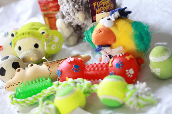 新品　★　ＤＯＧ　ＴＯＹ　★　その３　９コセット_2