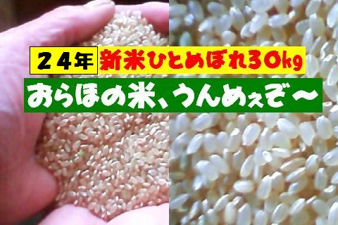 ２４年度【岩手県南産１００％ひとめぼれ】一等米【送料込】_1