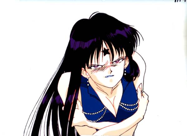 セーラームーンs ミストレスナイン 蛍のセル画の質問一覧