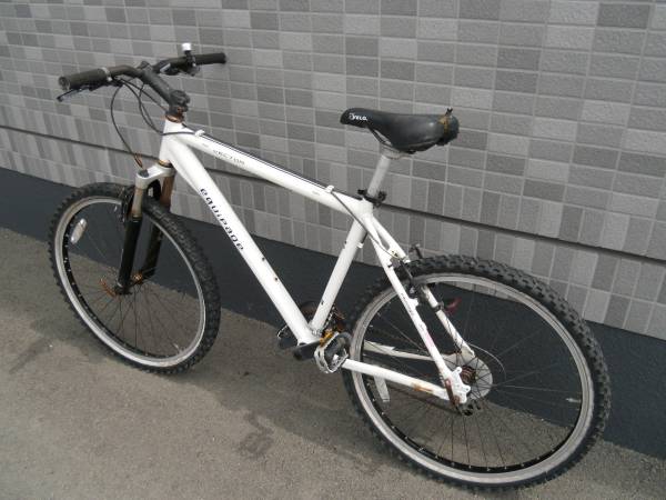 EQUIPAGE マウンテンバイク ホワイト MTB◇アサヒEQUIPAGE VECTOR◇カスタム/レストアベース(Mサイズ)｜売買