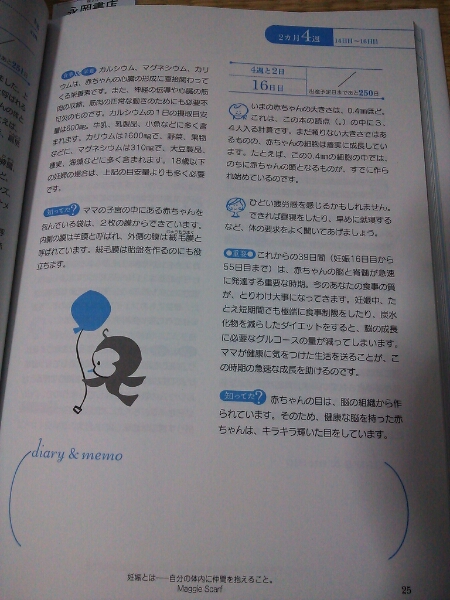 新品同様★はじめての妊娠・出産安心マタニティブック_3