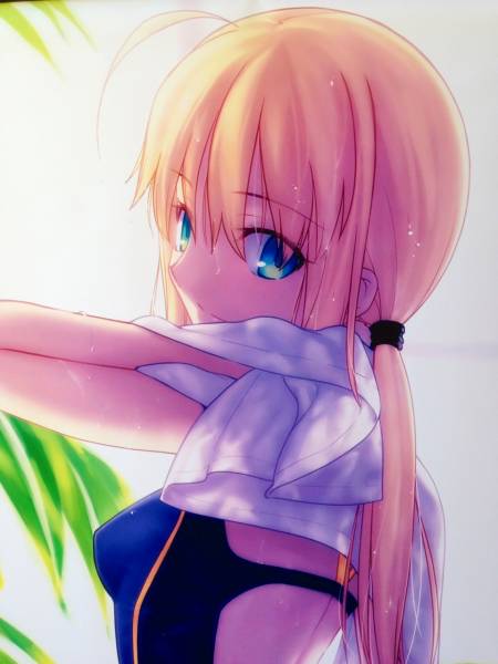 TYPE MOON 非売品大型タペストリー(Fate セイバー)水着(タペストリー