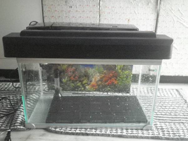 テトラ ａｇ ５２ｇｆ 52cm水槽 上部フィルター ライト 45cm 売買されたオークション情報 Yahooの商品情報をアーカイブ公開 オークファン Aucfan Com