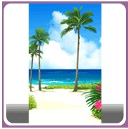 幕末恋愛録～花魁道 南国のリゾート地_1