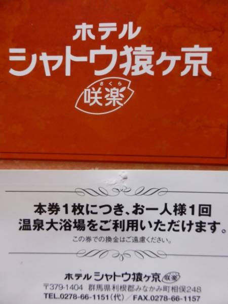 ホテルシャトウ猿ヶ京　日帰り温泉入浴券　１枚_2