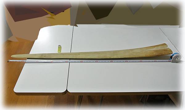 カジキ角 剥製 乾燥品 科学 自然 売買されたオークション情報 Yahooの商品情報をアーカイブ公開 オークファン Aucfan Com