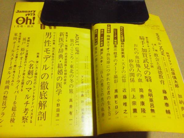 パンチoh 1973 1 関根恵子 集三枝子 東映ポルノ サブカルチャー 売買されたオークション情報 Yahooの商品情報をアーカイブ公開 オークファン Aucfan Com