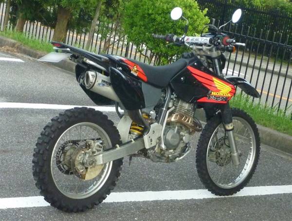 XR250 (MD30) 最終型リアフェンダー ウィンカー・テールランプ付(リア