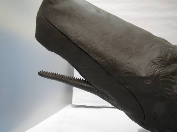 海洋堂 マッコウクジラ 松村しのぶ 全長約64cm 難有(生き物)｜売買され