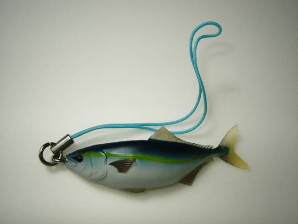 ユージン原色海水魚ストラップ ブリ鰤リアルフィギュアガチャ(生き物 