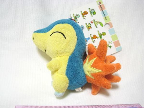 ポケモン ヒノアラシ 連れ歩き マスコット ポケモンセンター 連れ歩き