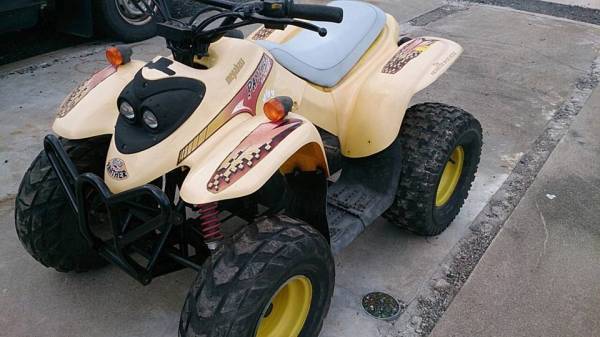 1円スタート バギー DX-50 PANTHER MACHINE(四輪バギー)｜売買された 