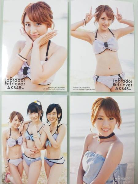 高橋みなみ＊ラブラドール・レトリバー＊通常盤生写真3種コンプ(AKB48