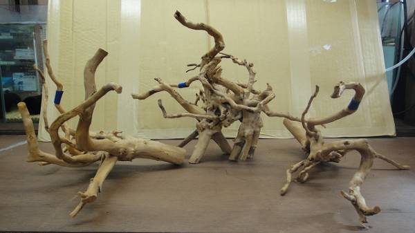 ADA　ブランチウッド　３組セット　⑤_2