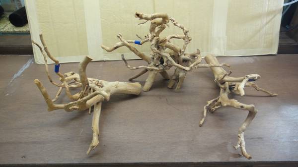 ADA　ブランチウッド　３組セット　⑤_3