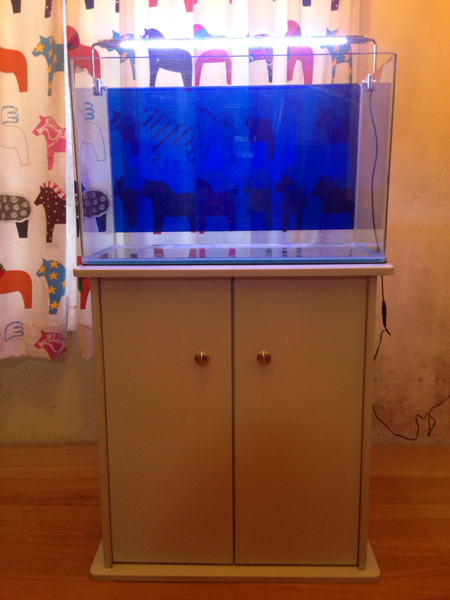 中古 ガラス60cmスリム水槽_1