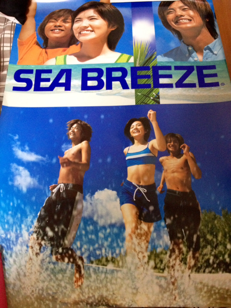 レア非売品】KAT-TUN赤西仁 星野真里 SEA BREEZEポスター2種(赤西仁