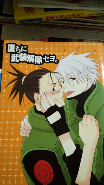 【直ちに武装解除せよ】JENKA◆バッカス様■カカイル_1