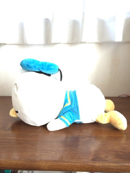 ディズニーストア コロコロシリーズ ドナルドぬいぐるみ ドナルド ダック 売買されたオークション情報 Yahooの商品情報をアーカイブ公開 オークファン Aucfan Com