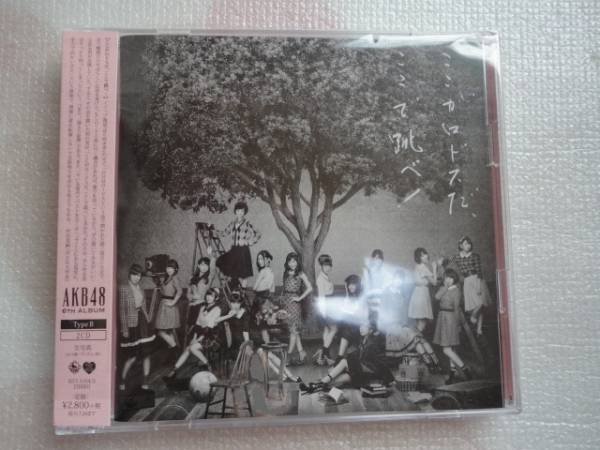 Akb48 ここがロドスだ ここ 跳べ 通常盤 Type B 2cd 特典無 Akb48 売買されたオークション情報 Yahooの商品情報をアーカイブ公開 オークファン Aucfan Com