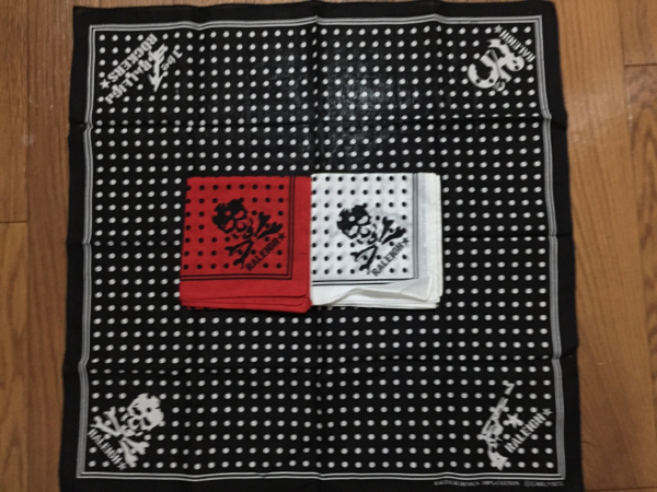 RALEIGH バンダナ6枚セット