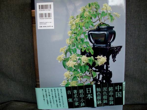 KAKE7293 盆栽芸術 地 小林國雄の世界 盆器編