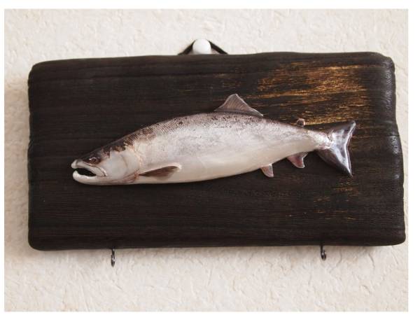 魚の剥製 はありませんよ アート用品 売買されたオークション情報 Yahooの商品情報をアーカイブ公開 オークファン Aucfan Com