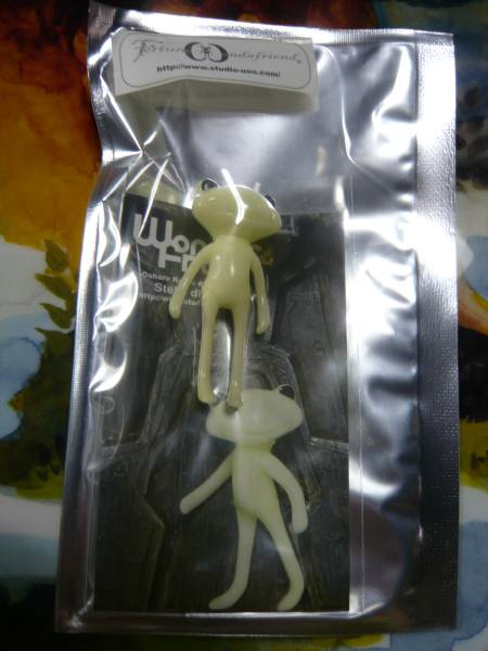 ワンダーフロッグ フォーチュンワンダ 限定 ステラディノッテ