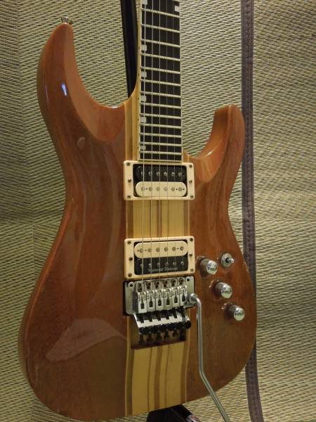 EDWARDS E-HR-120D エドワーズ スルーネック！ 1544 生産終了！EDWARDS E-HR-120D NA HORIZON/スルーネック！(ESP