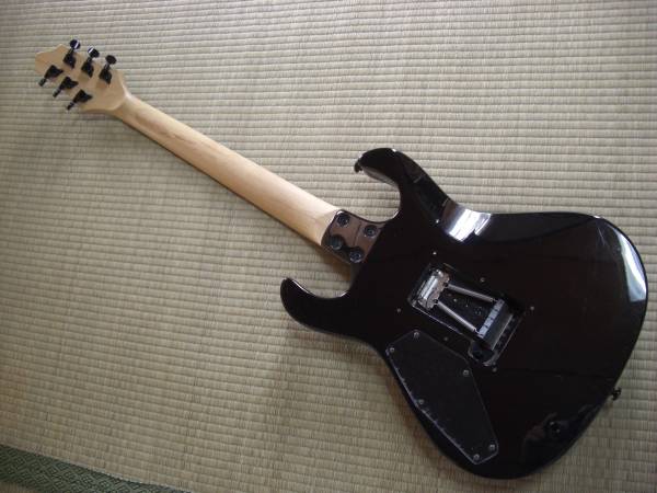 Grass Roots グラスルーツ Rouage RAYZI モデル(ESP)｜売買された