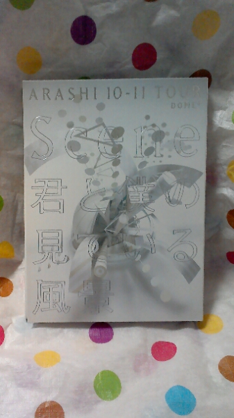 嵐 君と僕の見ている風景 DOME+ 強化合宿 付き 3枚組　DVD 初回