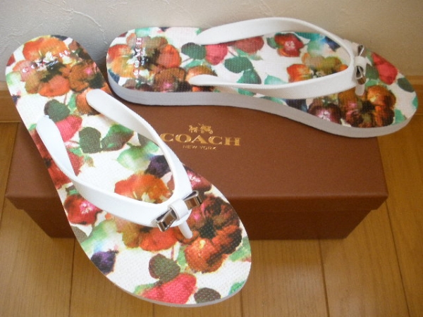 新品 箱付 コーチ ビーチサンダル AMEL SANDAL Q4113 US8 24cm位