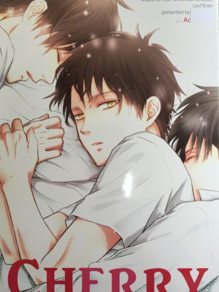 進撃の巨人 同人誌 リヴァエレ 漫画 Cherry Nia サワ 少年 売買されたオークション情報 Yahooの商品情報をアーカイブ公開 オークファン Aucfan Com