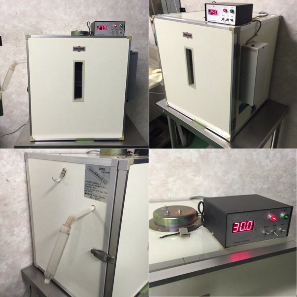 孵卵器 中古品 お読み頂きありがとうございます 【公式通販】