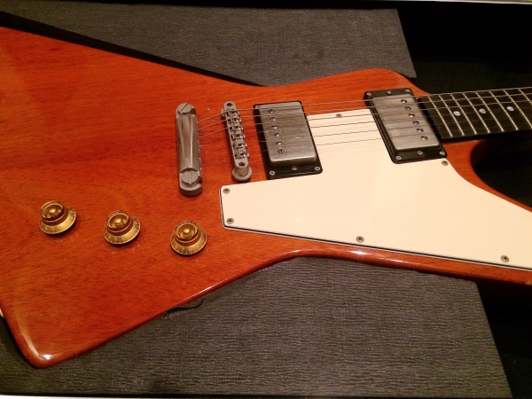 Burny EX-240P エクスプローラー X Japan Pata 受注生産品
