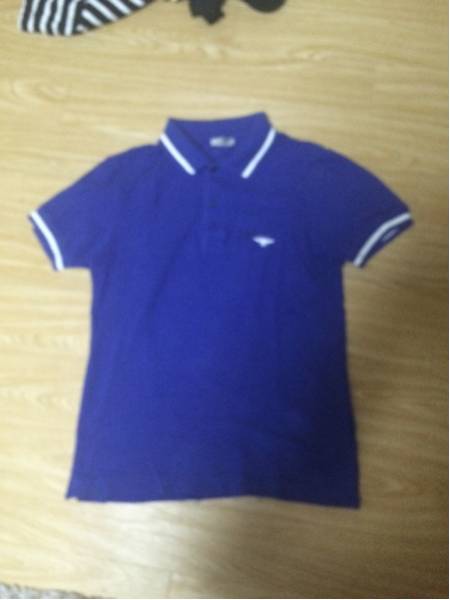 希少サイズ！DIOR HOMME！BEEポロシャツ！蜂刺繍！