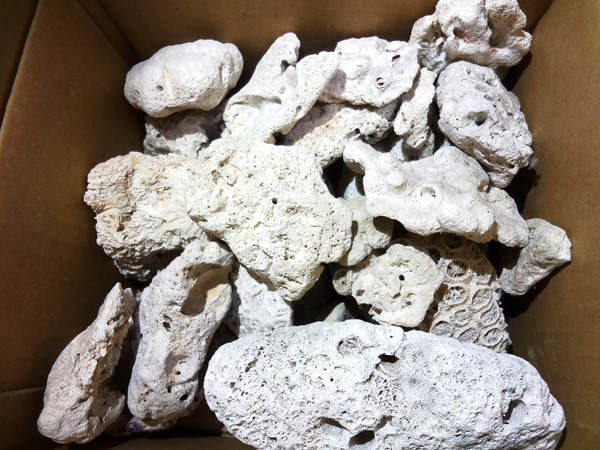 有 サンゴ 飾りサンゴ サンゴ岩 サンゴ石 セット サンゴ 売買されたオークション情報 Yahooの商品情報をアーカイブ公開 オークファン Aucfan Com