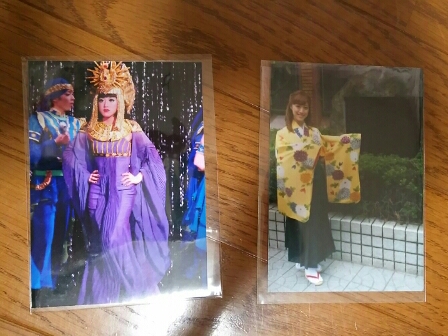 ☆宝塚☆ 花組仙名彩世 千社札、サイン入り写真他(宝塚一般)｜売買され 