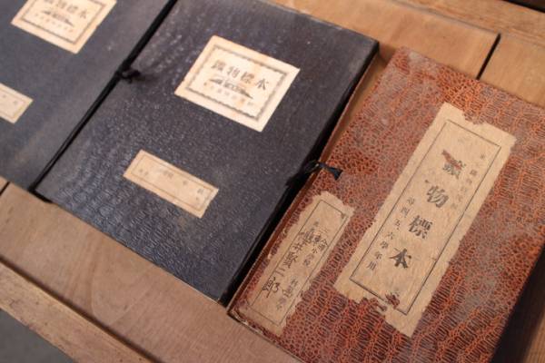 鉱物標本3セット 東京鉱物研究所 鉱物42種入り レトロ教材(原石