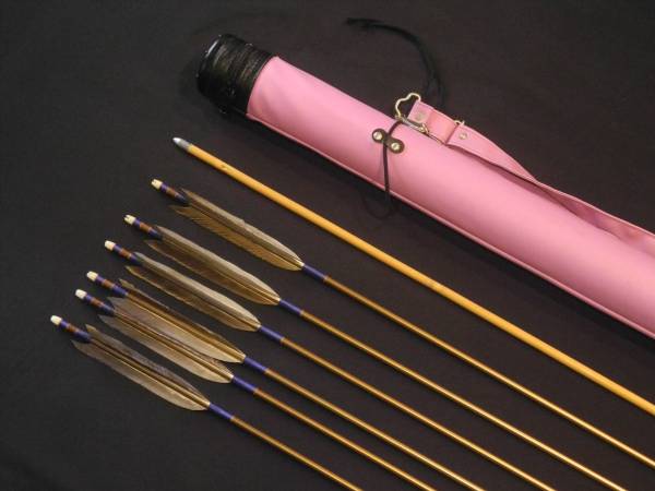 弓道 弓セット ケースつき EASTON XX75 1913