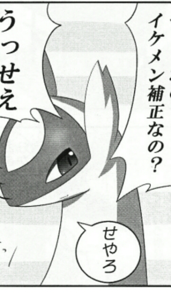 ポケモン ケモノ メスケモ ラティアス ラティオス 同人誌 少年 売買されたオークション情報 Yahooの商品情報をアーカイブ公開 オークファン Aucfan Com