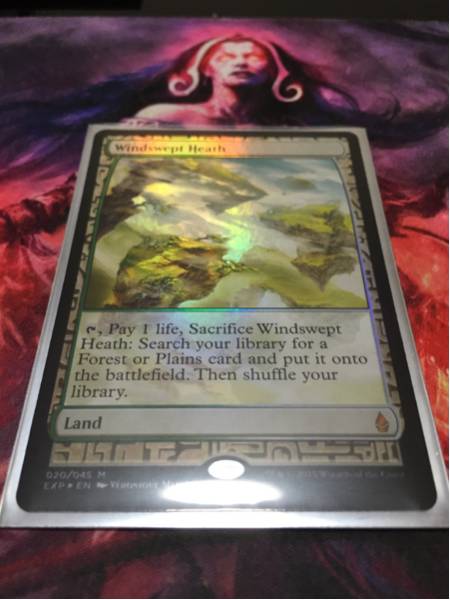 mtg 戦乱のゼンディカー プレミアム神話 吹きさらしの荒野 foil