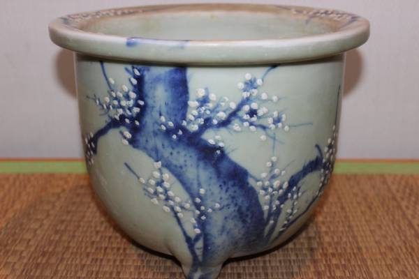 和鉢 瀬戸焼 青磁釉梅花図丸鉢 瀬戸焼 | Yahoo!オークション 盆栽鉢