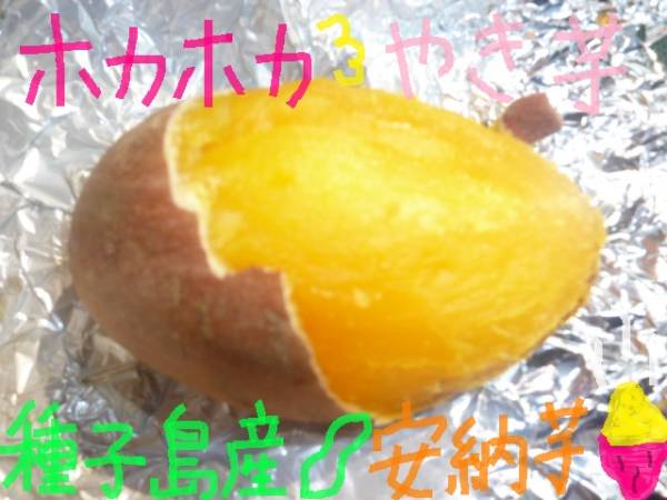 1円から種子島産農園直送☆安納芋20キロ☆SMLサイズA品c | CTEGE.INFO