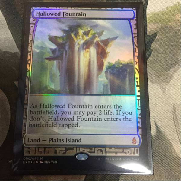 MTG 土地R | Foil《神聖なる泉⁄Hallowed 日本最大級 神聖なる